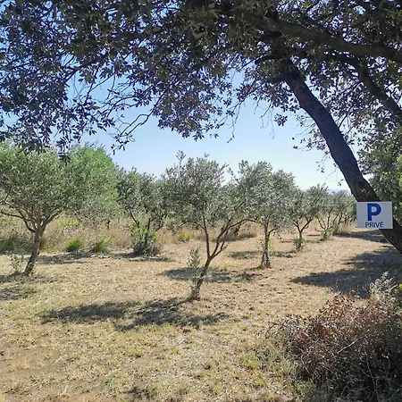 Les Petites De Lacoste Guest house